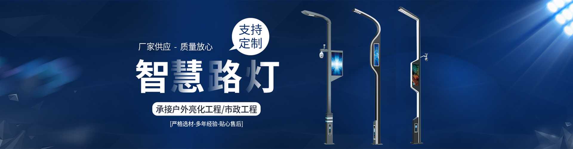 鄂州市太阳能路灯定制厂家